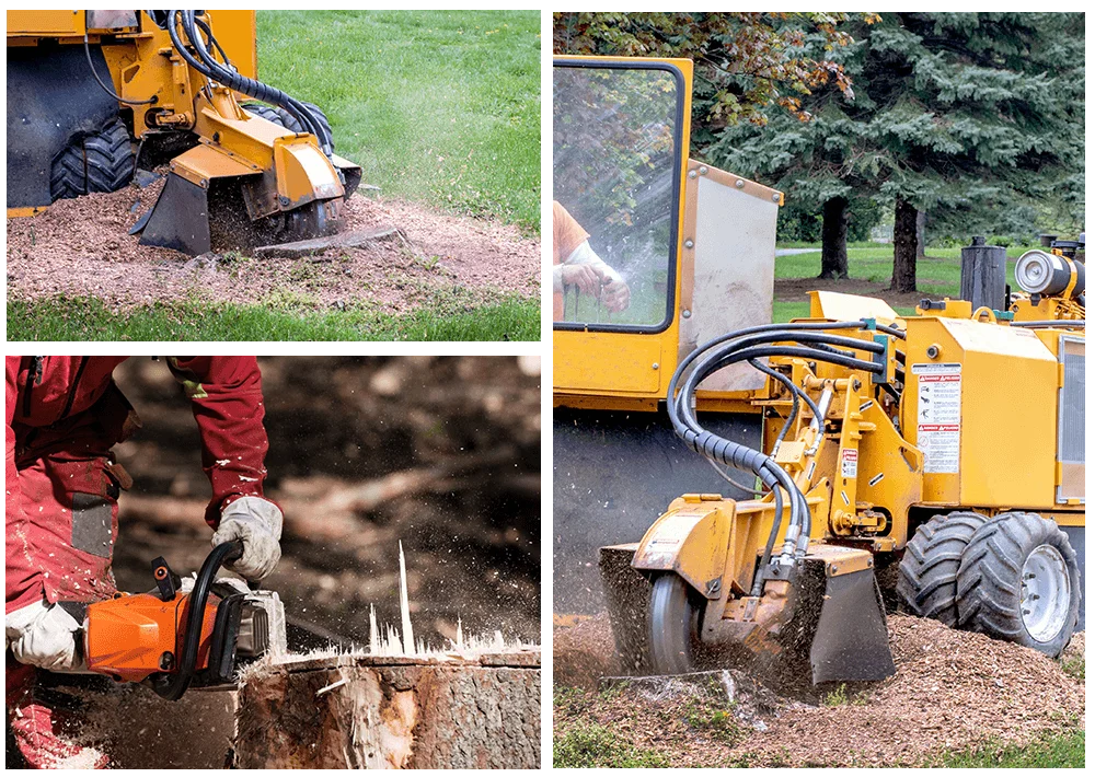 Stump Grinding and Tree Removal