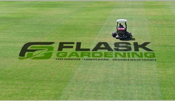 Tree Removal Ballarat