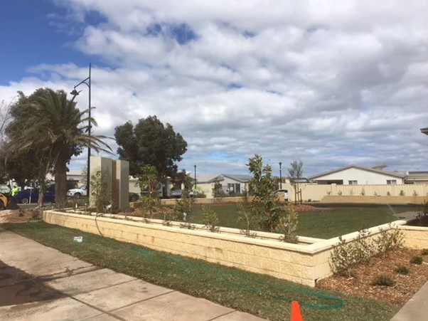 Tree Removal Hoppers Crossing