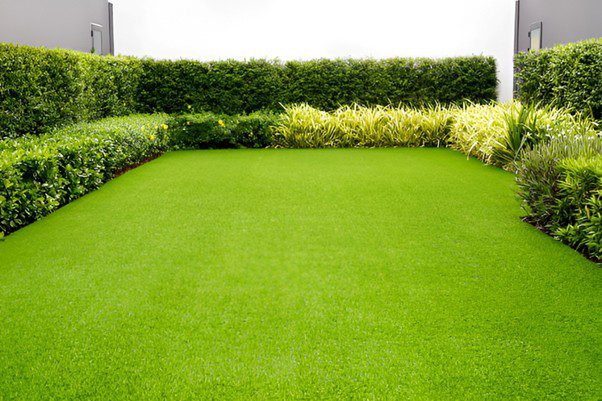 Is Synthetic Grass Really Worth It?